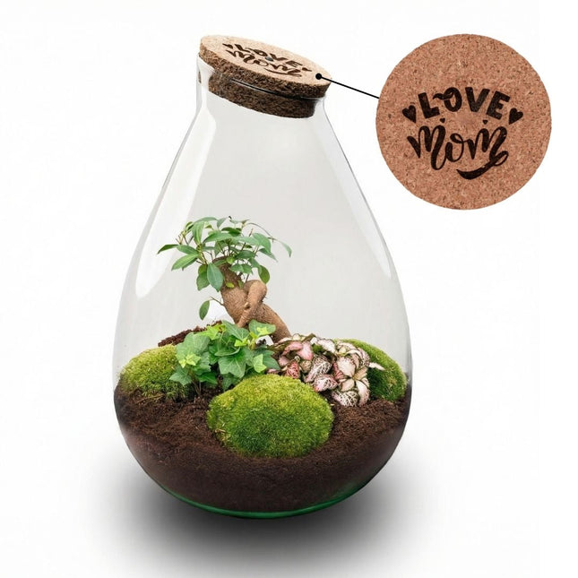 'LOVE MOM' terrarium Drop XL + Engraved cork - Bottle garden DIY kit – Ø 24 cm ↑ 37 cm - Mother’s Day
