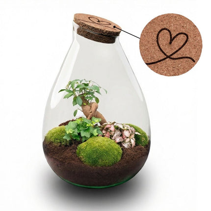 'LOVE MOM' terrarium Drop XL + Engraved cork - Bottle garden DIY kit – Ø 24 cm ↑ 37 cm - Mother’s Day