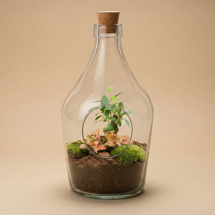 John - Open terrarium with cork - Bottle garden DIY kit - Ø 16 cm ↑ 30 cm
