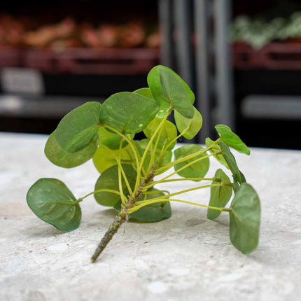 Pilea Mini Bush - Artificial Plant - ↑ 15 cm