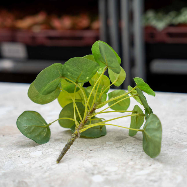 Pilea Mini Bush - Artificial Plant - ↑ 15 cm