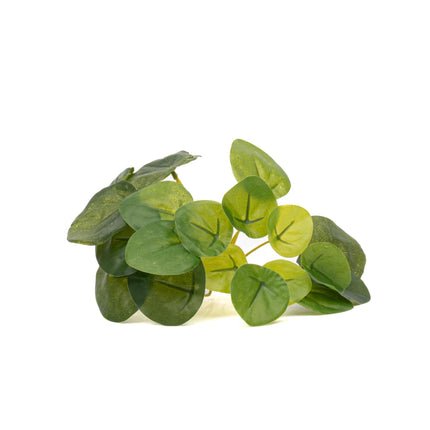 Pilea Mini Bush - Artificial Plant - ↑ 15 cm