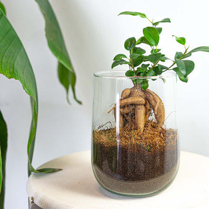 Vase Martin - DIY kit - ↑ 17 cm