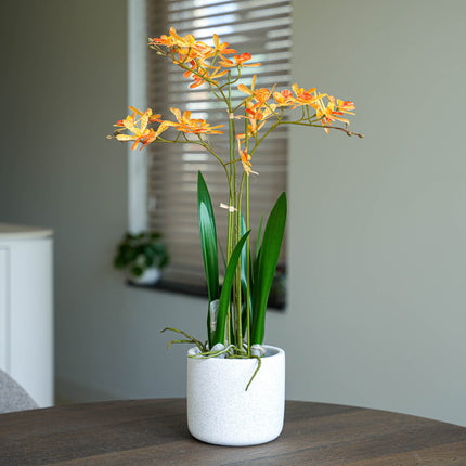 Renantera Orchid yellow/orange 2 pcs - Artificial Plants - Bundle set