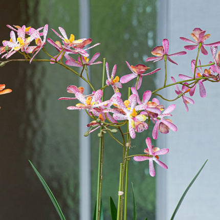 Renantera Orchid pink 2 pcs - Artificial Plants - Bundle set
