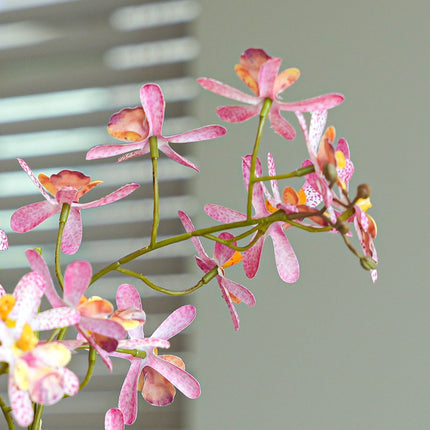 Renantera Orchid pink 2 pcs - Artificial Plants - Bundle set