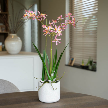 Renantera Orchid pink 2 pcs - Artificial Plants - Bundle set