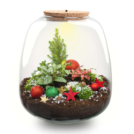 Rudolph Christmas terrarium - Bottle garden DIY kit - Ø 23 cm ↑ 25 cm