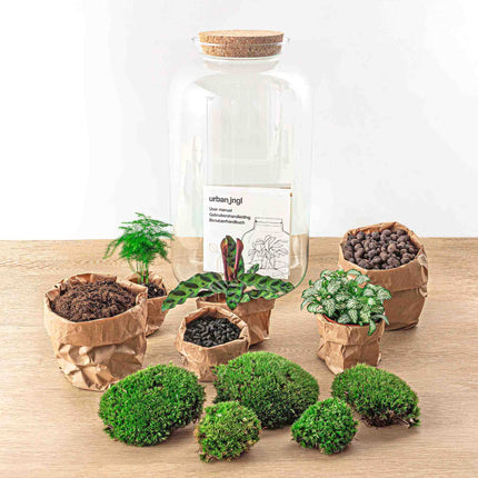 Terrarium DIY Kit - Botanical Sven XL + Light - Bottle Garden - ↑ 43 cm