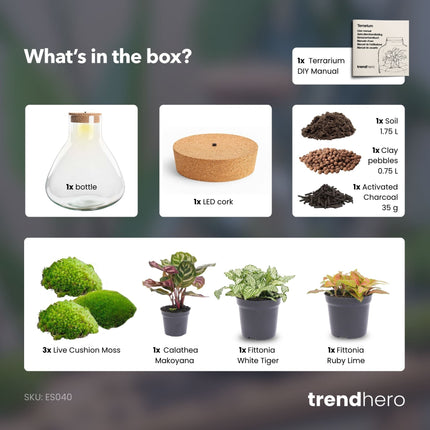 Sam XL Red - Terrarium with light - Bottle garden DIY kit - Ø 30 cm ↑ 32 cm