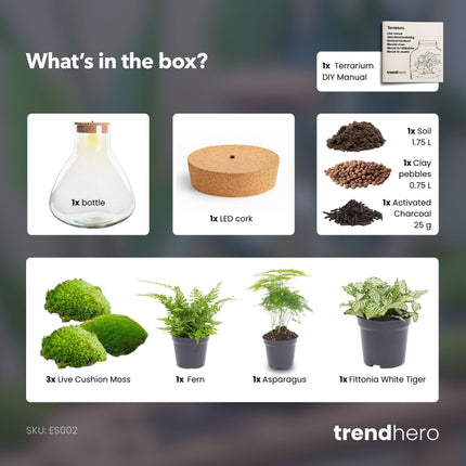 Sam XL - Terrarium with light - Bottle garden DIY kit - Ø 30 cm ↑ 32 cm
