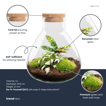 Sammie - Terrarium with light - Bottle garden DIY kit - Ø 22,5 cm ↑ 27 cm