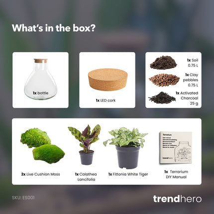 Sammie - Terrarium with light - Bottle garden DIY kit - Ø 22,5 cm ↑ 27 cm