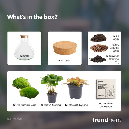 Sammie - Terrarium with light - Bottle garden DIY kit - Ø 22,5 cm ↑ 27 cm