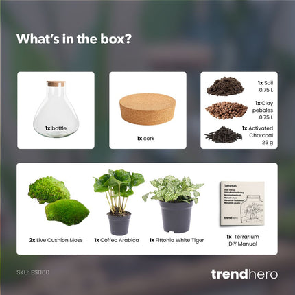 Sammie Coffea Arabica + White Tiger - Terrarium - Bottle garden DIY kit - Ø 22,5 cm ↑ 27 cm