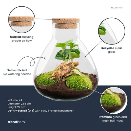 Sammie Coffea Ruby Lime - Terrarium - Bottle garden DIY kit - Ø 22,5 cm ↑ 27 cm