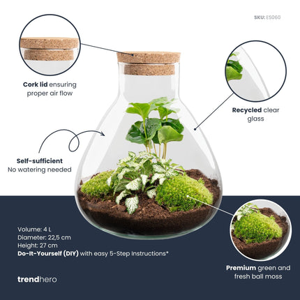 Sammie Coffea Arabica + White Tiger - Terrarium - Bottle garden DIY kit - Ø 22,5 cm ↑ 27 cm