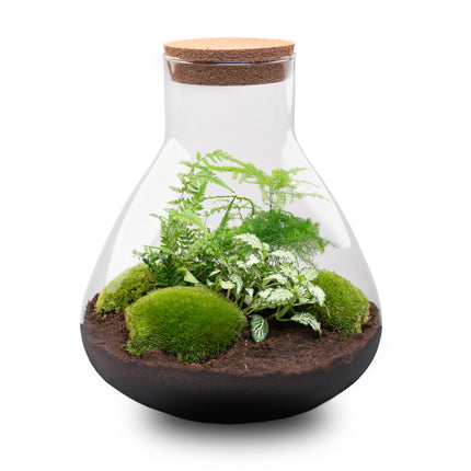 Terrarium Sam XL - Ø 30 cm ↑ 32 cm - Relatiegeschenk