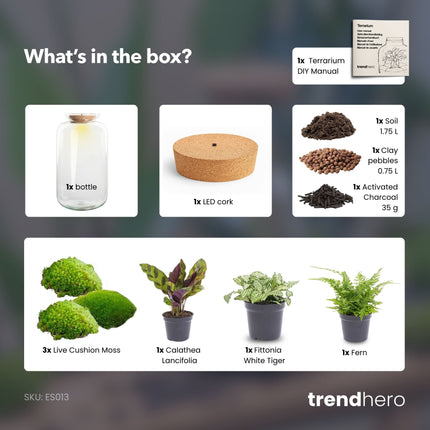 Sven XL Botanical - Terrarium with light - Bottle garden DIY kit - Ø 23 cm ↑ 43 cm