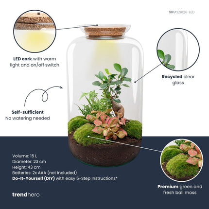 Sven XL Bonsai - Terrarium with light - Bottle garden DIY kit - Ø 23 cm ↑ 43 cm
