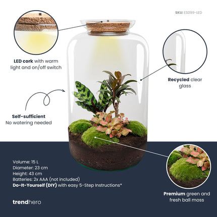 Sven XL Palm - Terrarium with light - Bottle garden DIY kit - Ø 23 cm ↑ 43 cm