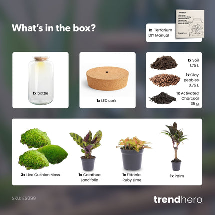 Sven XL Palm - Terrarium with light - Bottle garden DIY kit - Ø 23 cm ↑ 43 cm