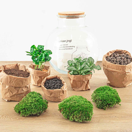 Terrarium DIY Kit - Teddy - Bottle Garden - ↑ 26,5 cm