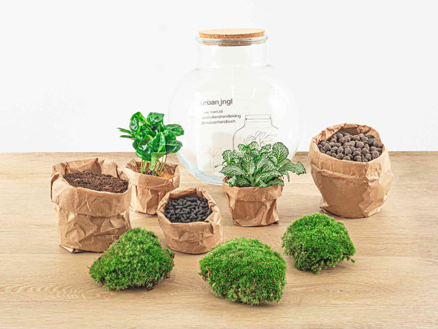 <h2>DIY planten terrarium pakket</h2>