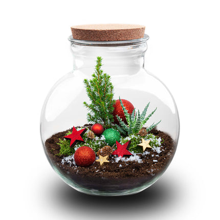 Jingle Christmas terrarium - Bottle garden DIY kit - Ø 25 cm ↑ 26,5 cm