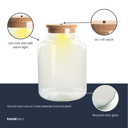 Frosty Christmas terrarium - Bottle garden DIY kit - Ø 17 cm ↑ 25 cm