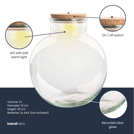 Terrarium bottle 'Teddy' - Incl. (LED) cork - Closed terrarium Ø 25 cm ↑ 26.5 cm