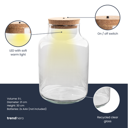 Terrarium bottle 'Milky' with LED-lighting - Closed terrarium Ø 21 cm ↑ 30 cm