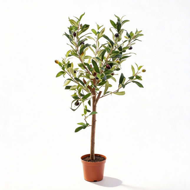 Olive Mini Tree in Pot 65cm – Artificial Plant