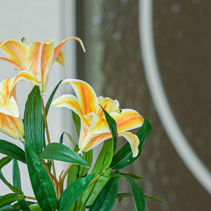 Close-up of orange and white lilies with a blurred background