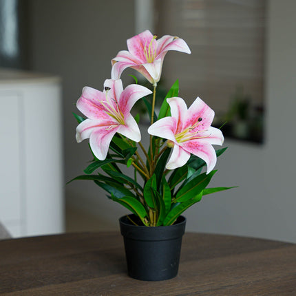 Lily pink -3 pcs- Artificial Plants - Bundle set