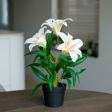 Lily cream 3 pcs - Artificial Plants - Bundle set