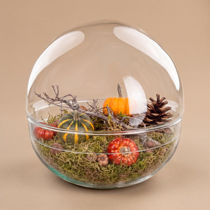 Autumn terrarium Dome XL Ø 28cm ↑ 28cm + Medium deco kit