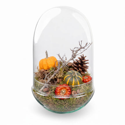 Autumn closed terrarium - Egg XL with deco kit Medium 2 Pumpkins