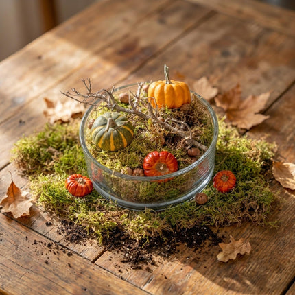 Autumn bowl Medium Glass 2 pumpkins moss cones Ø 20 cm ↑ 8 cm