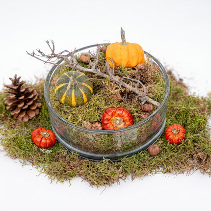 Autumn bowl Medium Glass 2 pumpkins moss cones Ø 20 cm ↑ 8 cm