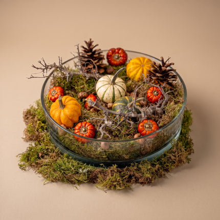 Autumn bowl Large - Glass Ø 29 cm with pumpkins, moss, cones