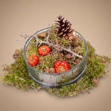 Autumn bowl Medium - Glass with pumpkins, deco - (Ø 20 cm ↑ 8 cm)