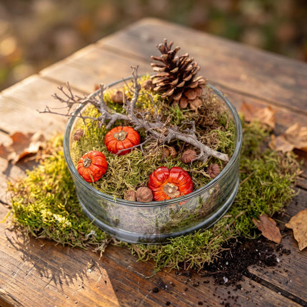 Autumn bowl Medium - Glass with pumpkins, deco - (Ø 20 cm ↑ 8 cm)