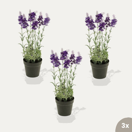 Lavender 3pcs - Artificial Plants - Bundle set