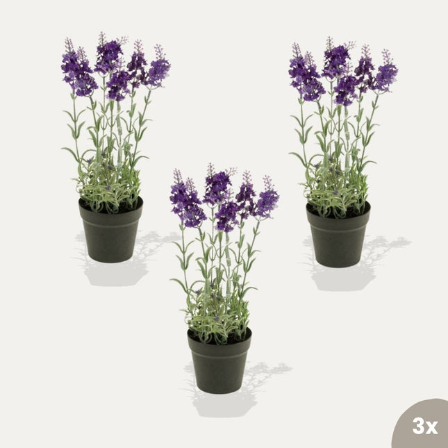 Lavender 3pcs - Artificial Plants - Bundle set