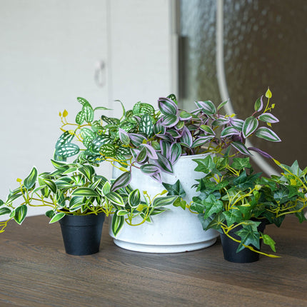 Hanging plants mix - 4 pcs - Artificial Plants - Bundle set