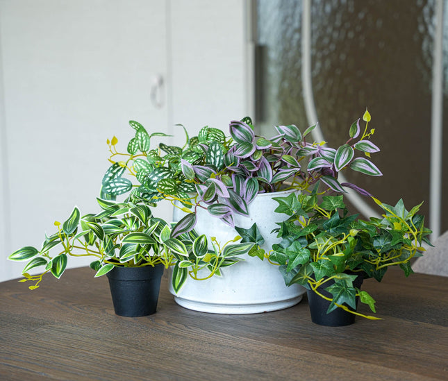 Hanging plants mix - 4 pcs - Artificial Plants - Bundle set