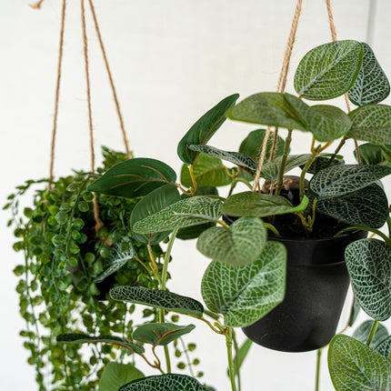Potted hanging plants with rope - 2pcs - Artificial Plants - Bundle Set
