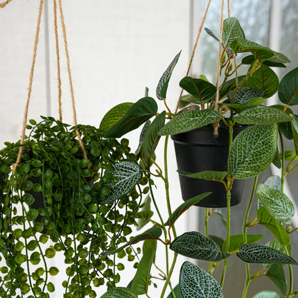 Potted hanging plants with rope - 2pcs - Artificial Plants - Bundle Set