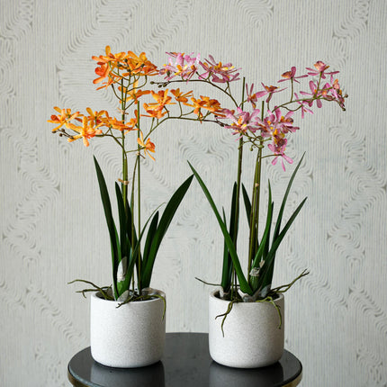 Renanthera orchid mix - 2pcs - Artificial Plants - Bundle set
